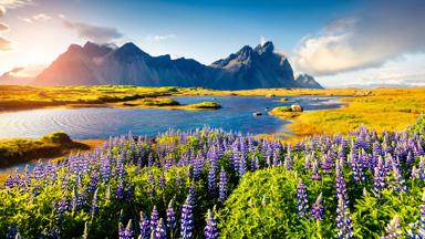 IJsland_Stokksnes_GettyImages-2053229241