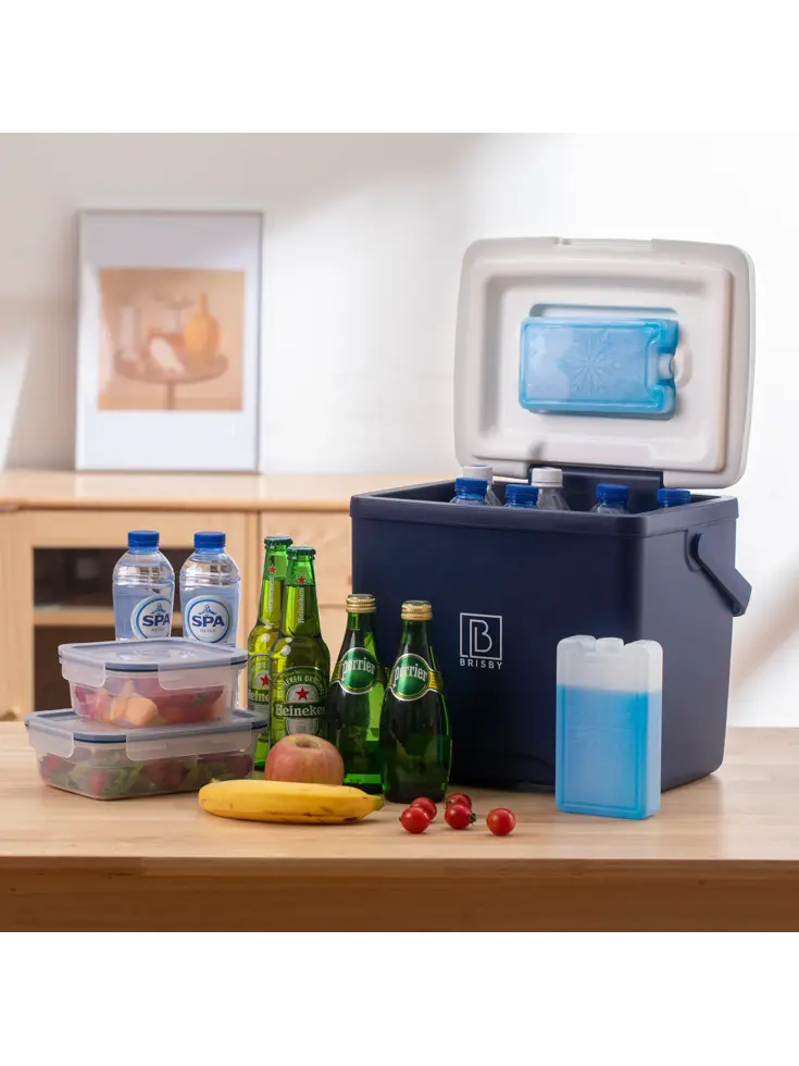 Koelbox - Lunchbox - 13L