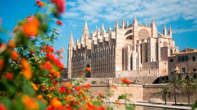 spanje_balearen_mallorca_palma_la-seu-palma-cathedral_kathedraal_bloem_getty