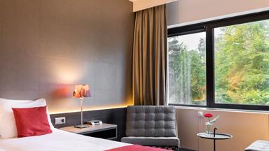hotel_nederland_noord-brabant_sint michielsgestel_hotel de ruwenberg_superior kamer_h