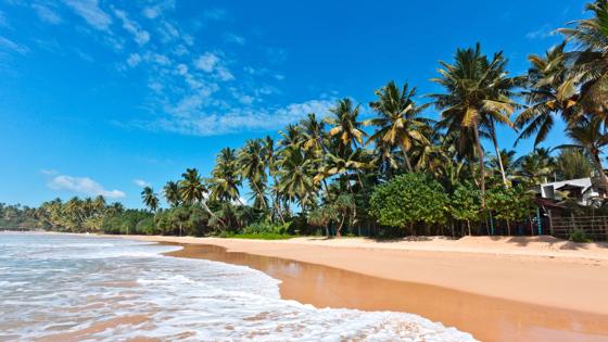 sri lanka_algemeen_strand_shutterstock