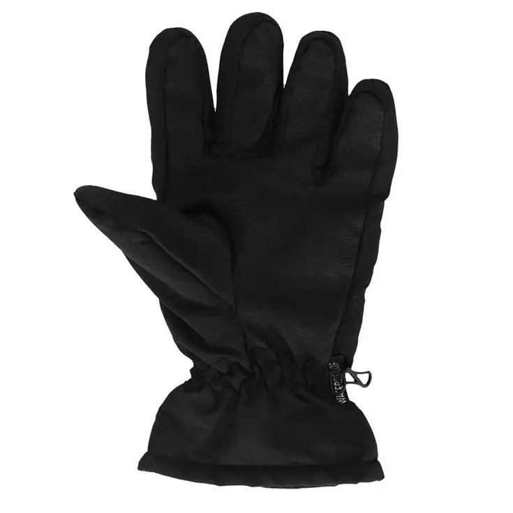 Dames - Ski Handschoenen