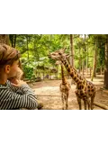 DierenPark Amersfoort Dinsdag Deal