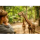 DierenPark Amersfoort Regulier