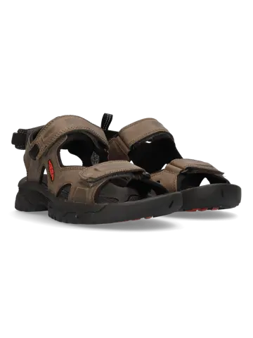 Targhee III - Wandelschoenen - Heren