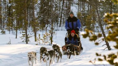 finland _fins-lapland_levi-huskysledetocht