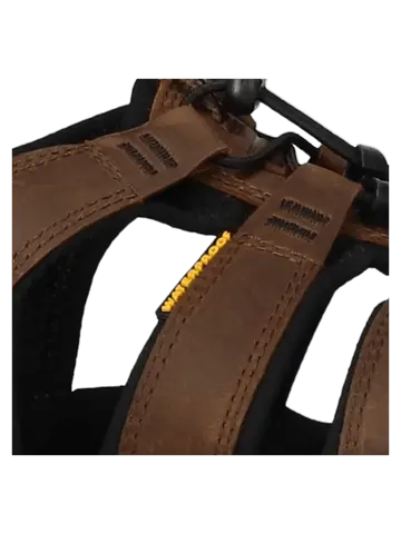 Clearwater - Wandelschoenen - Heren