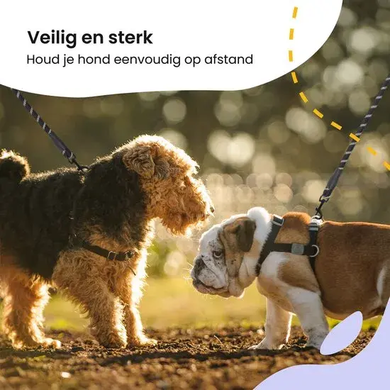 Reflecterende Hondenriem 2m