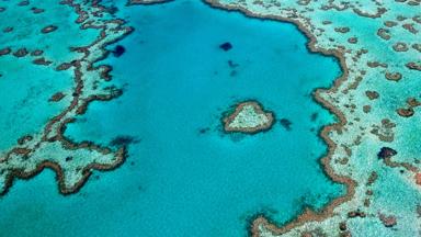 australie_queensland_great-barrier-reef_overzicht_koraal_hartjes-eiland_b(1).jpg