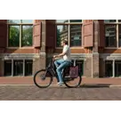 Voltano Luxe E-bike Fietstas 28l Special