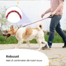 Reflecterende Hondenriem 3m