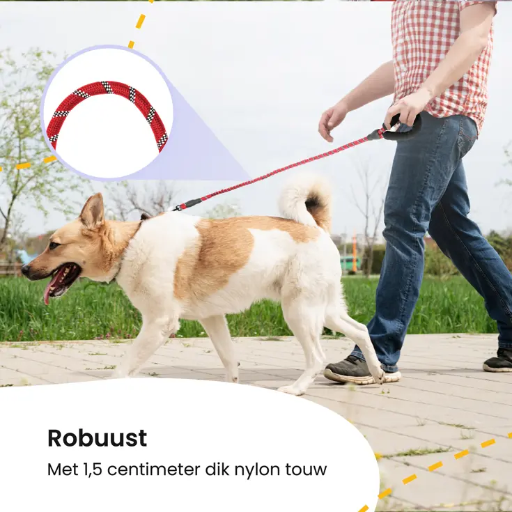 Reflecterende Hondenriem 3m