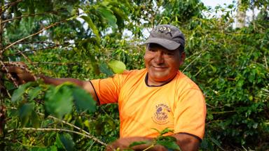 colombia_triangulo-del-cafe_koffieplukker_local_koffie_o