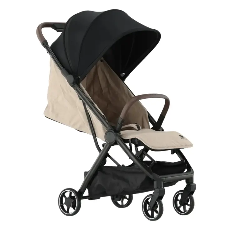 Air Buggy - Met transporttas - Vliegtuigbuggy