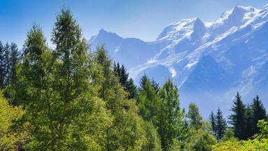 frankrijk_haute-savoie_alpen_bergen_bomen_pixabay