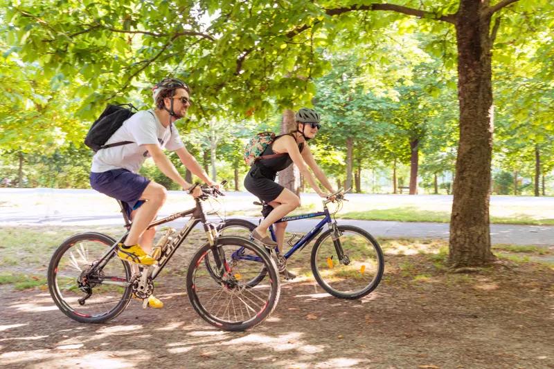 8-daagse Fietsrondreis Oostenrijk - De Schoonheid Rond De Neusiedler See