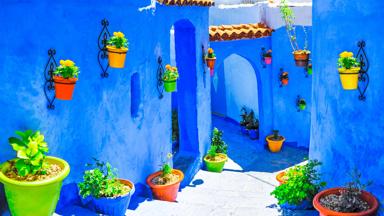 marokko_chefchaouen_chefchaouen_stedentrip-marokko_bloempotten_steeg_blauwe-muren_shutterstock