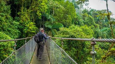 costa-rica_algemeen_hangbrug_man_boomtopwandelen_kampioen-fotograaf.jpg