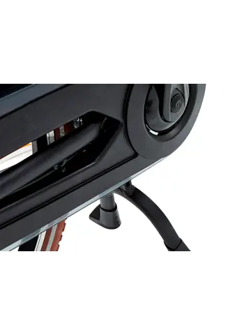 L' Urban BG transport e-bike Black Villette