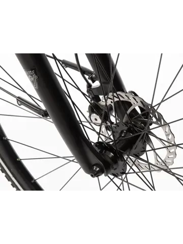 L' Amant Automatic e-bike 13Ah Villette