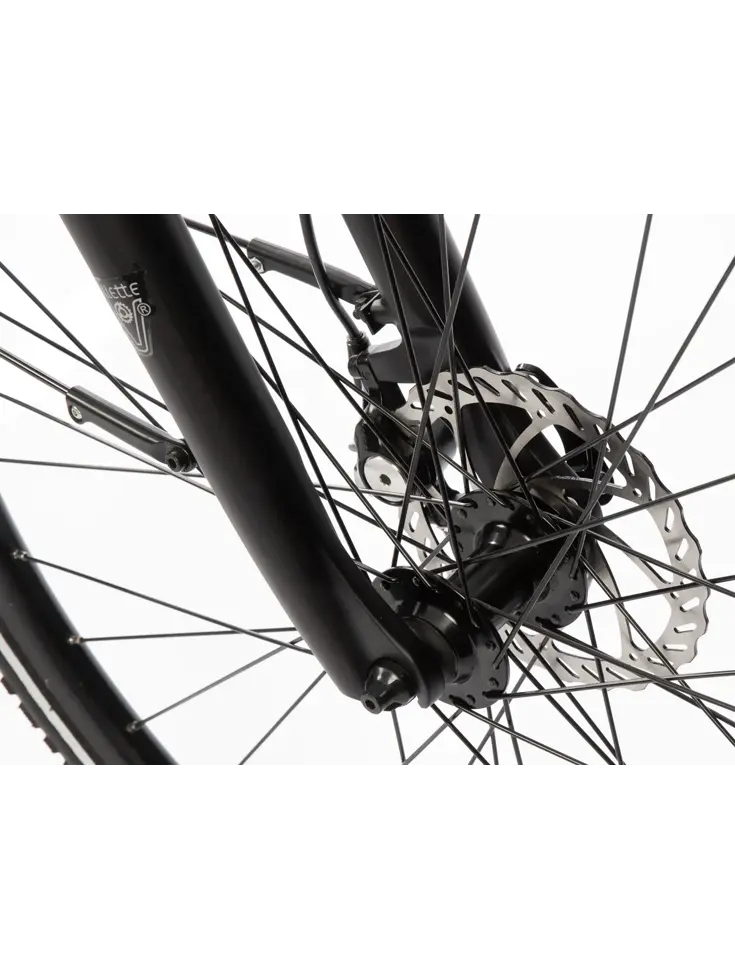 L' Amant Automatic e-bike 13Ah Villette