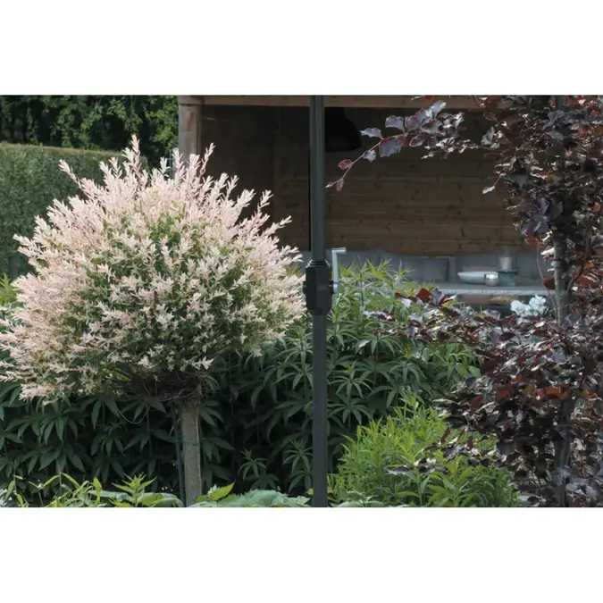 Lotus 250x250 Stokparasol Garden Impressions