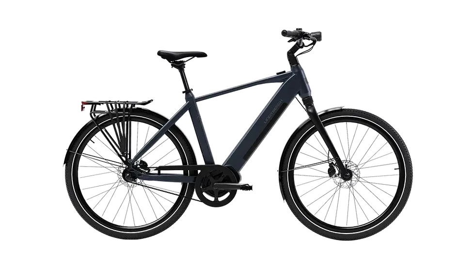 Zodiac e-bike