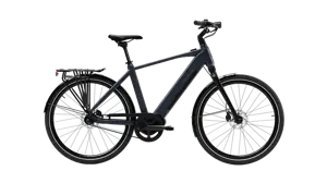 Zodiac e-bike