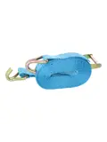 Carpoint Spanband met Ratel en Haken 7 Meter
