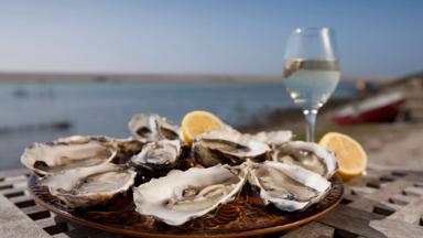 groot-brittannie-dorset-weymouth-kust-oesters-champagne
