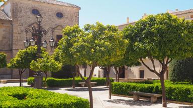 spanje_andalusie_ubeda_plein_f.JPG