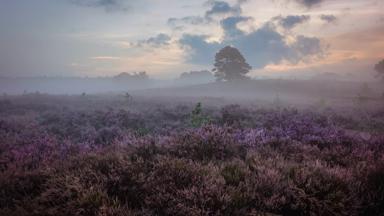 nederland_overijssel_holten_buitenplaats_holten (12)