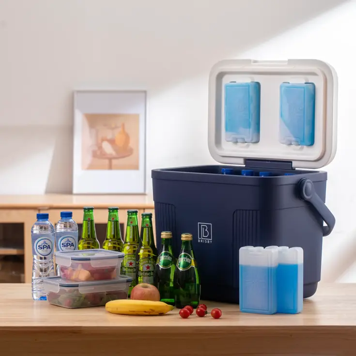 Koelbox - Lunchbox - 22L