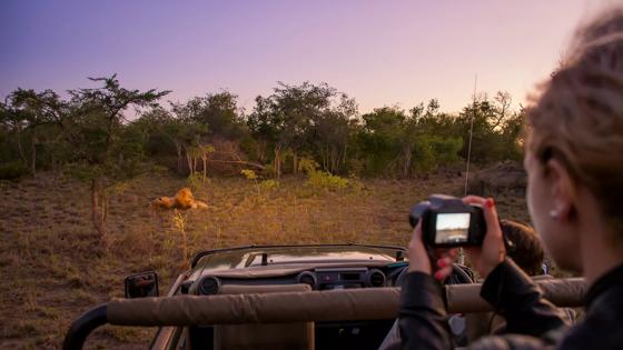 zuid-afrika_limpopo_kruger-national-park_private_gamedrive_b