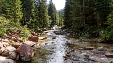 tsjechie_reuzengebergte_spindleruv-mlyn_rivier-elbe_nationaal-park-krkonose_bomen_water_shutterstock