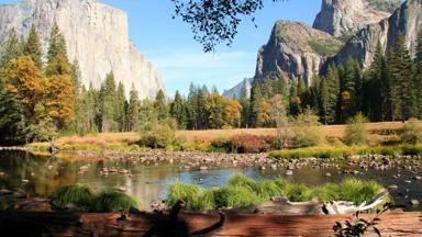 verenigde-staten_californie_yosemite-national-park_vallei_rivier_rotsen_boomstam_f