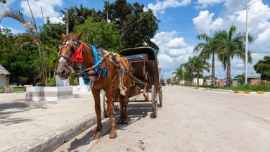 Cuba, Ciego de Avila, paard en wagen - shutterstock_1541734706