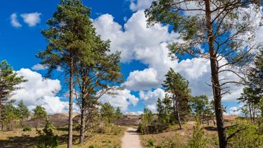 litouwen_algemeen_klaipeda_koerse-schoorwal_vuurtoren_natuur_shutterstock_1501775669