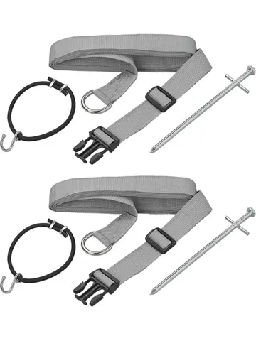 ProPlus Stormbandset - 2x2.90m - Grijs