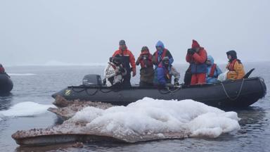 noorwegen_spitsbergen_algemeen_ijsschots_boot_rob-goedhals.jpg