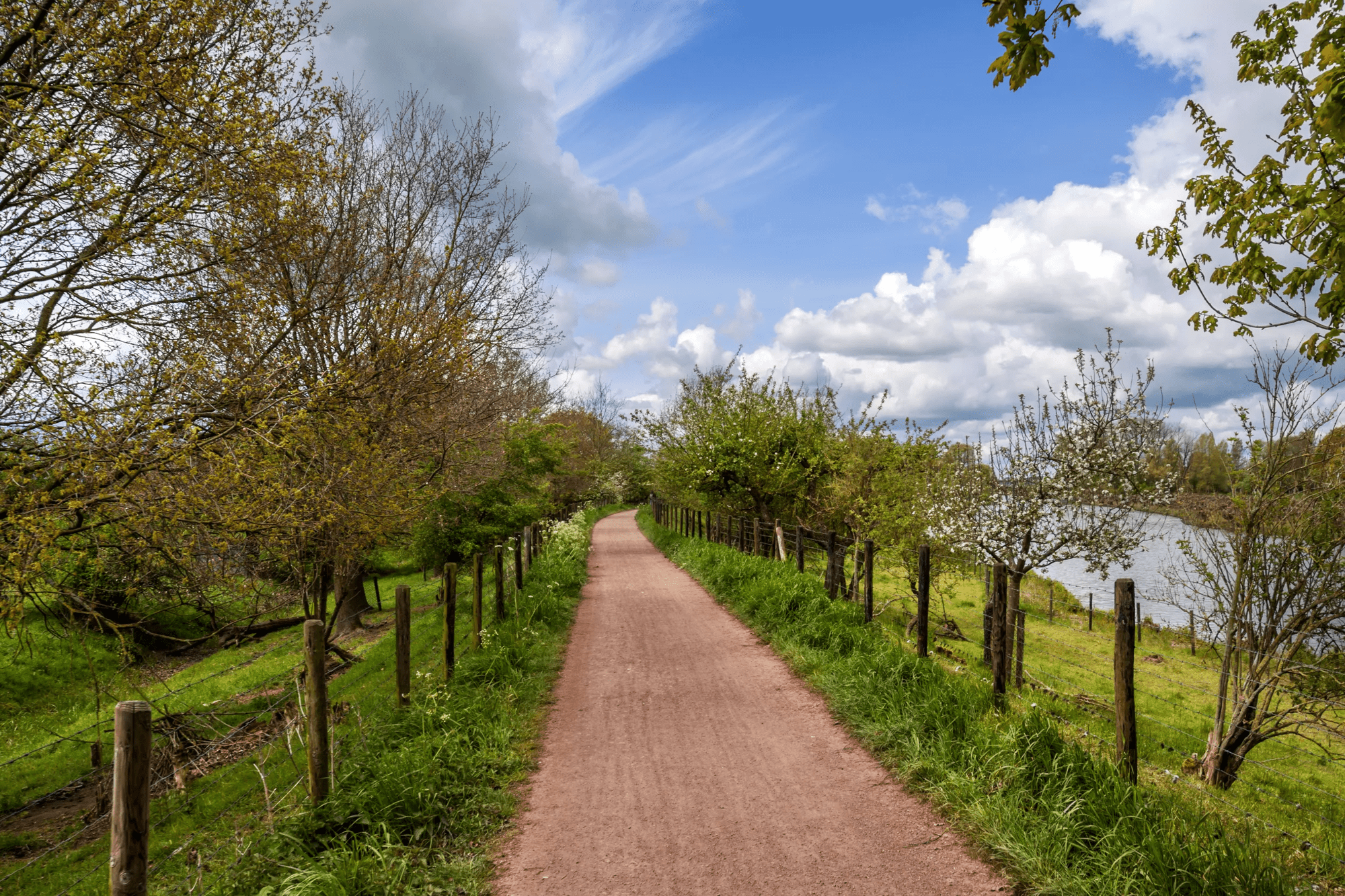 3-, 5-daags fietsarrangement Betuwe - Hotel De Schildkamp afbeelding