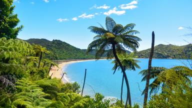 nieuw-zeeland_zuidereiland_abel-tasman-national-park_strand_zee_palmboom_shutterstock_563378632