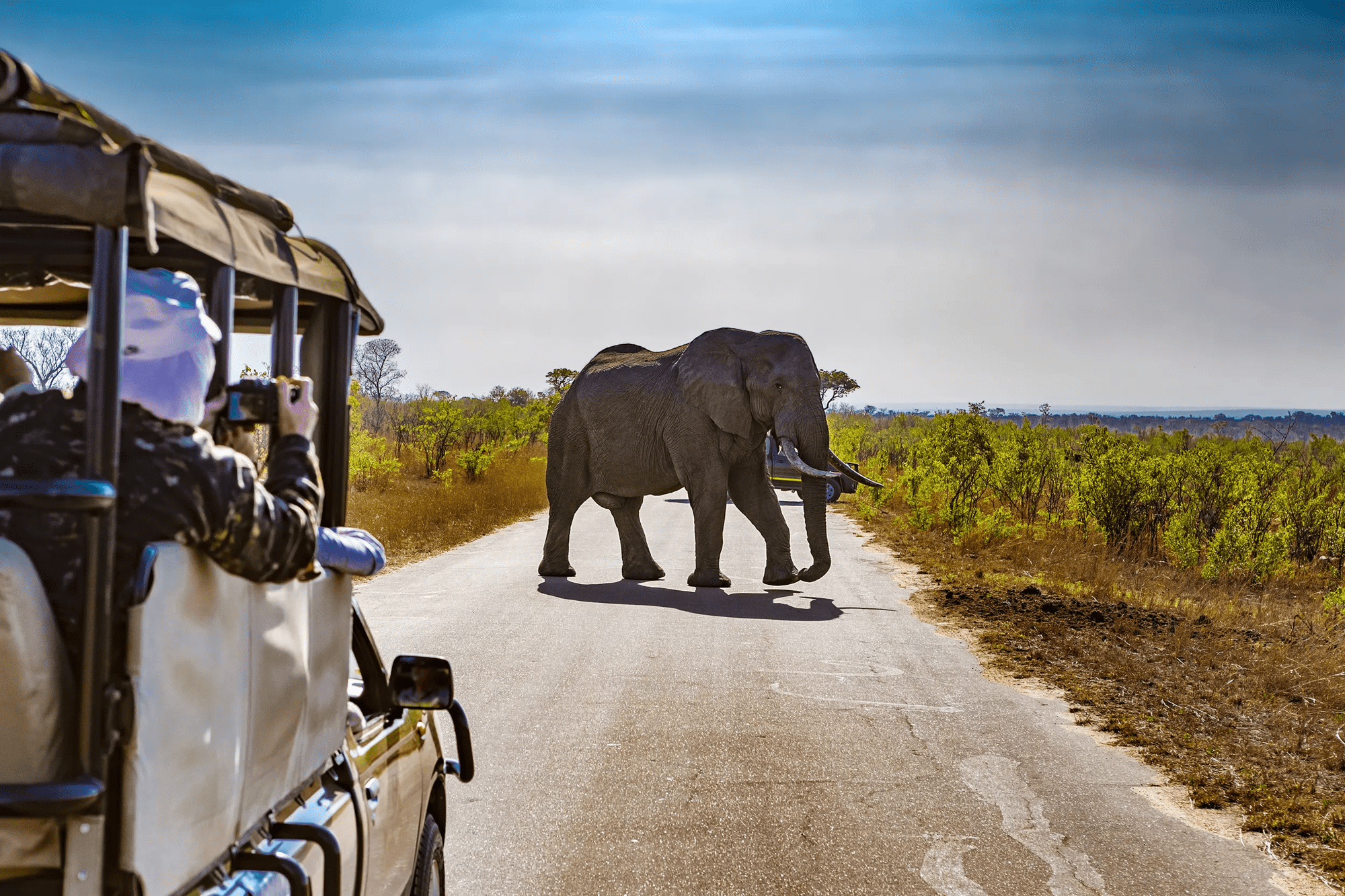 16-daagse familie groepsrondreis Betoverend Zuid-Afrika afbeelding