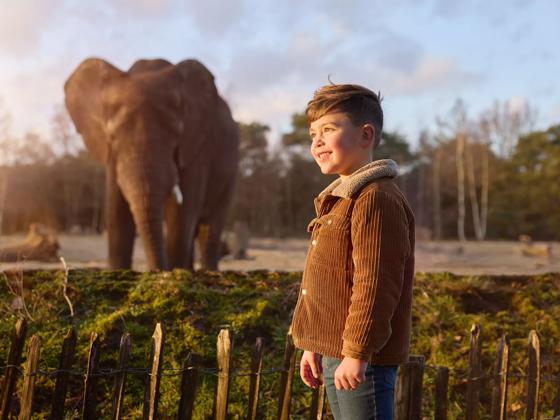 Impressie van Safaripark Beekse Bergen