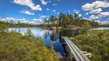 zweden_glaskogen-natuurreservaat_varmland_arvika_meer_bomen_blauwe-lucht_shutterstock