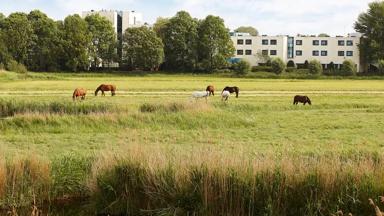 hotel_nederland_naarden_nh-hotels_naarden_overzicht