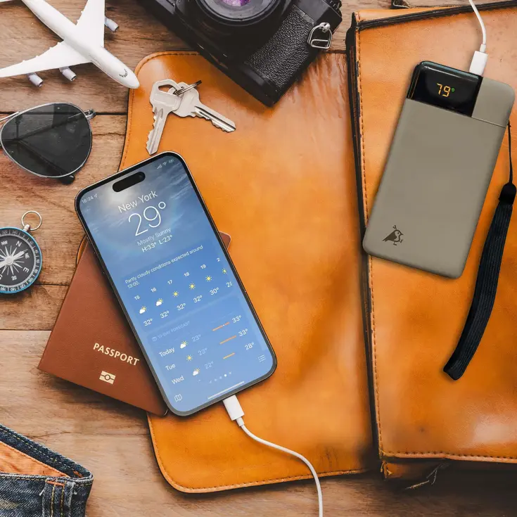 Powerbank Powerbird B10 - 10000mAh