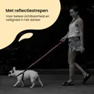 Reflecterende Hondenriem 3m
