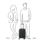 Delsey Belmont Plus koffer / 39 L