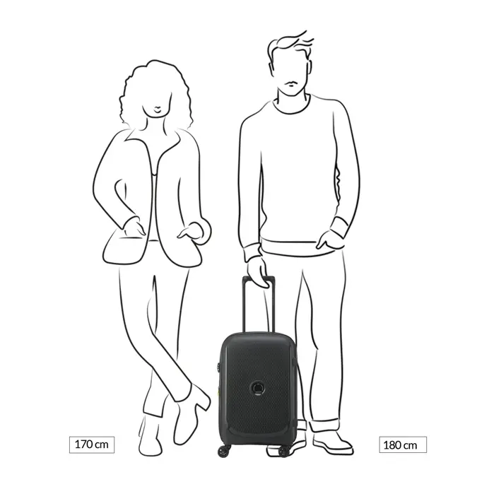 Delsey Belmont Plus koffer / 39 L